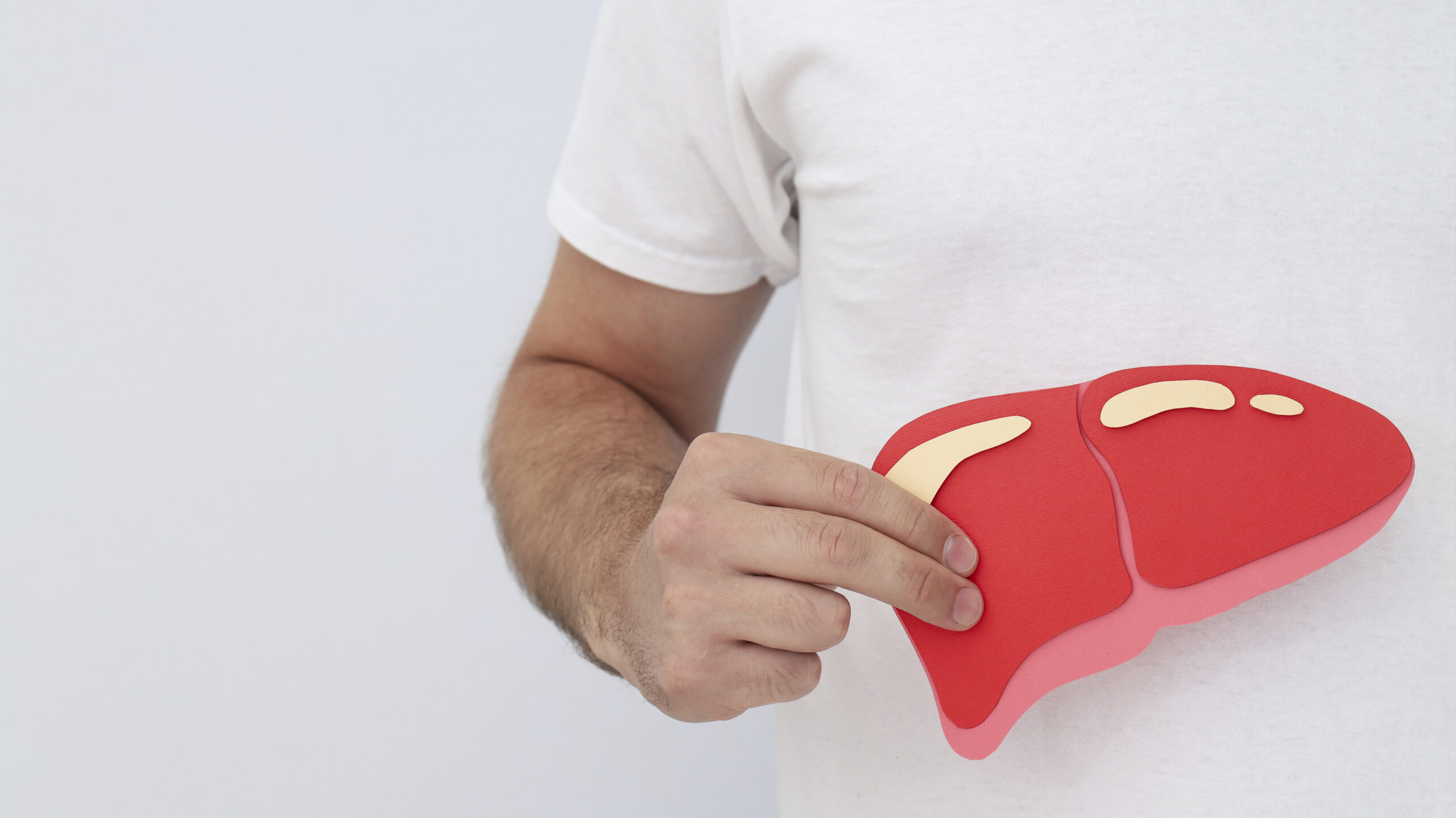 Fígado sobrecarregado: como inositol e metionina ajudam na detoxificação e no equilíbrio metabólico