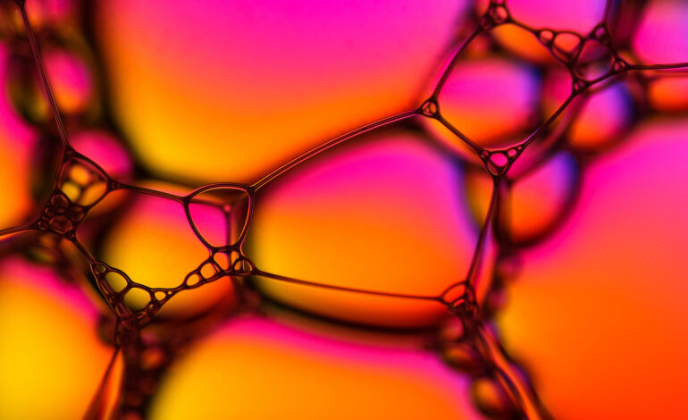 Magnésio, Resveratrol e Silício: Estratégia Integrada para Saúde Celular, Estrutural e Metabólica